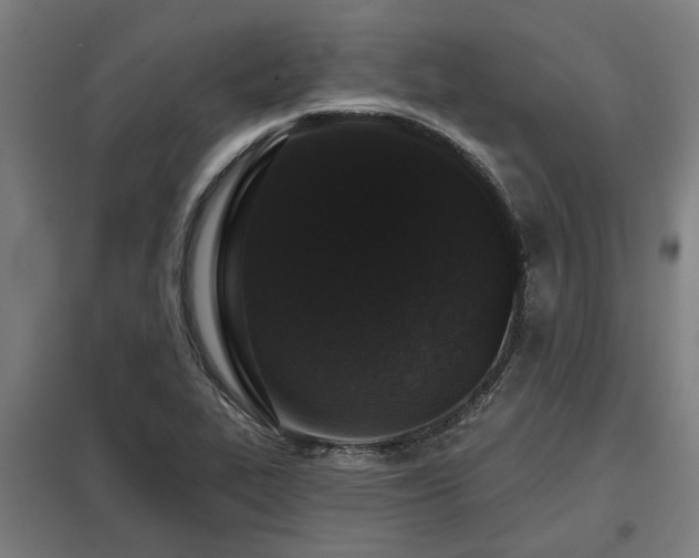 X0000098051319200803281445