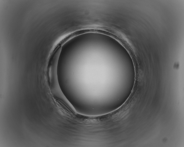 X0000098051320200803281445
