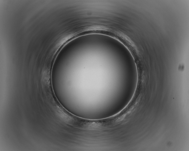 X0000098051321200803281445