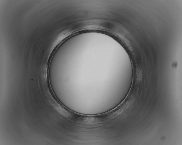 X0000098051322200803281445
