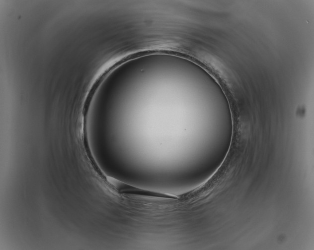 X0000098051324200803281445