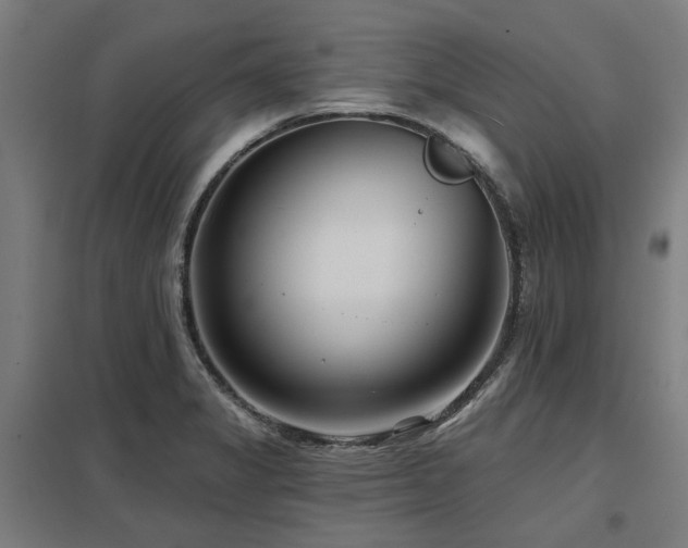 X0000098051325200803281445