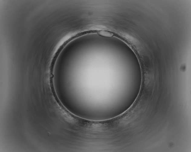 X0000098051326200803281445