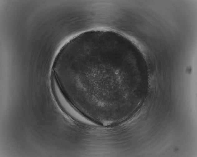 X0000098051327200803281445