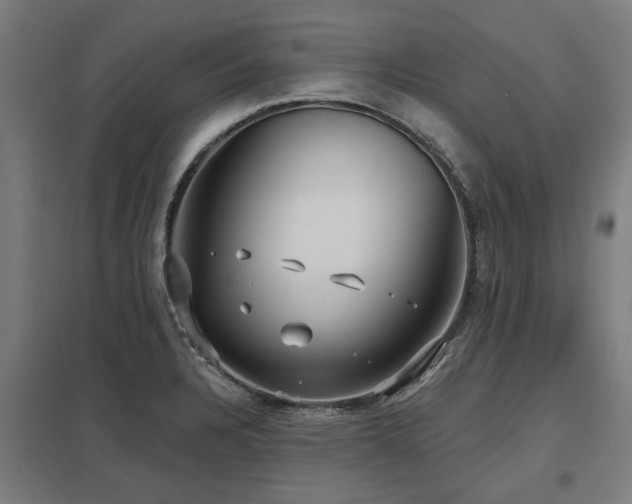X0000098051328200803281445