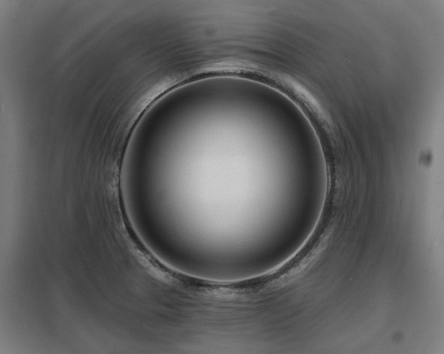 X0000098051329200803281445