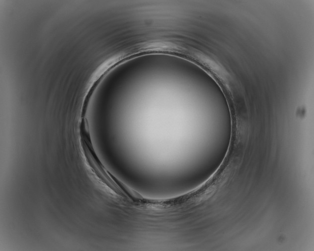 X0000098051330200803281445