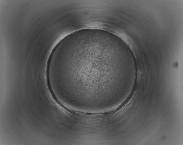X0000098051331200803281445