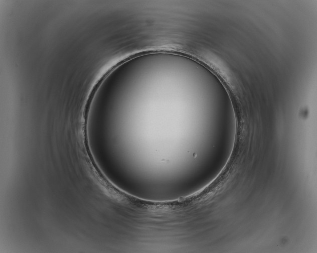 X0000098051332200803281445