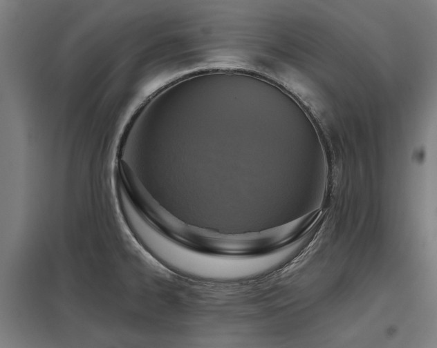X0000098051334200803281445