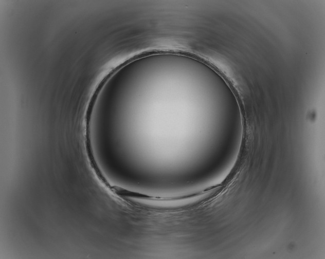 X0000098051335200803281445
