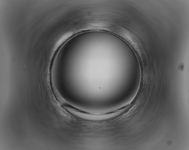 X0000098051336200803281445