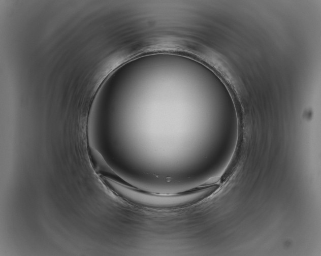 X0000098051337200803281445