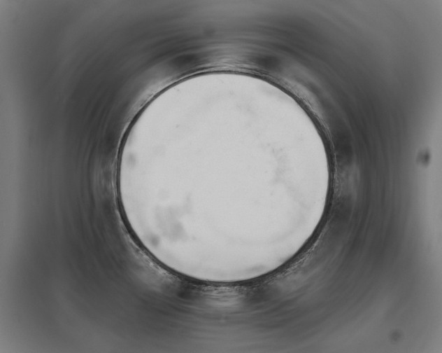 X0000098051338200803281445