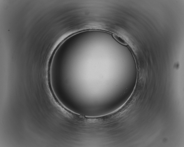 X0000098051339200803281445