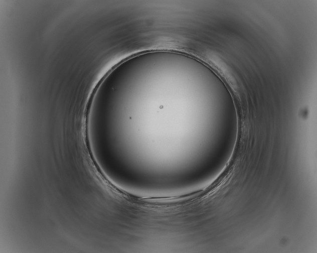 X0000098051340200803281446