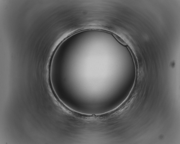 X0000098051341200803281446