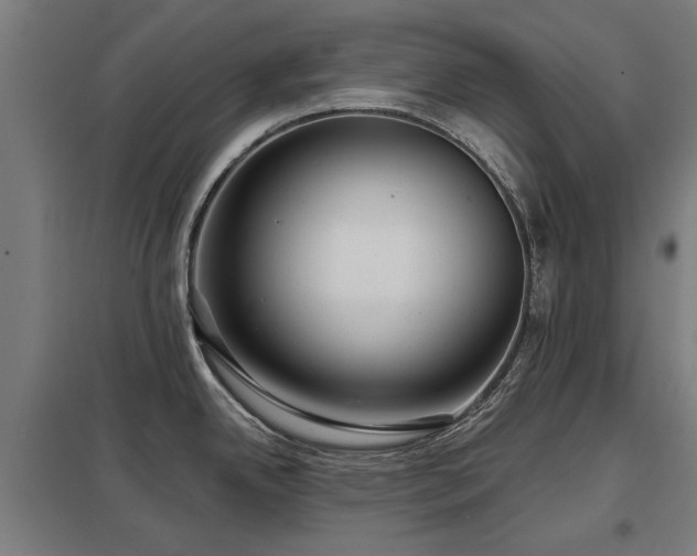 X0000098051342200803281446