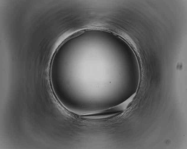 X0000098051344200803281446
