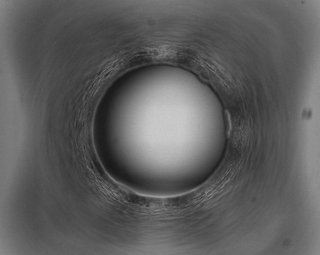 X0000098051345200803281445
