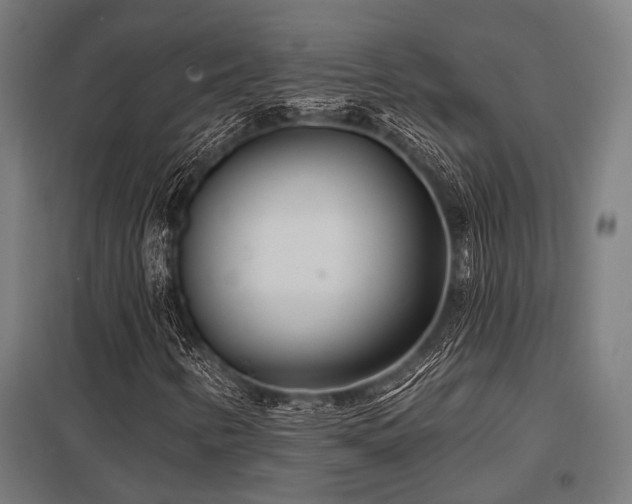 X0000098051346200803281445