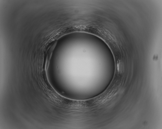 X0000098051347200803281445