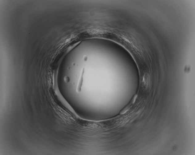 X0000098051348200803281445