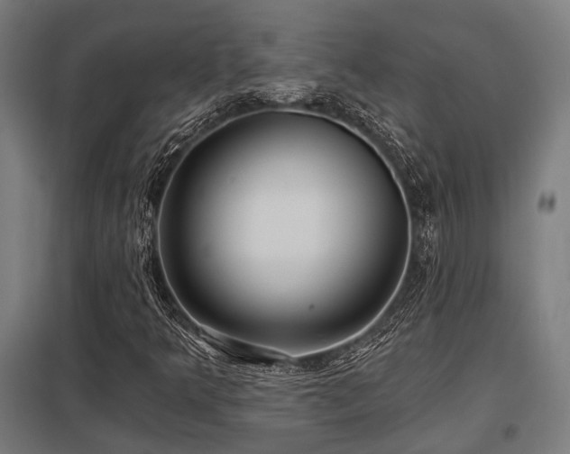 X0000098051349200803281445