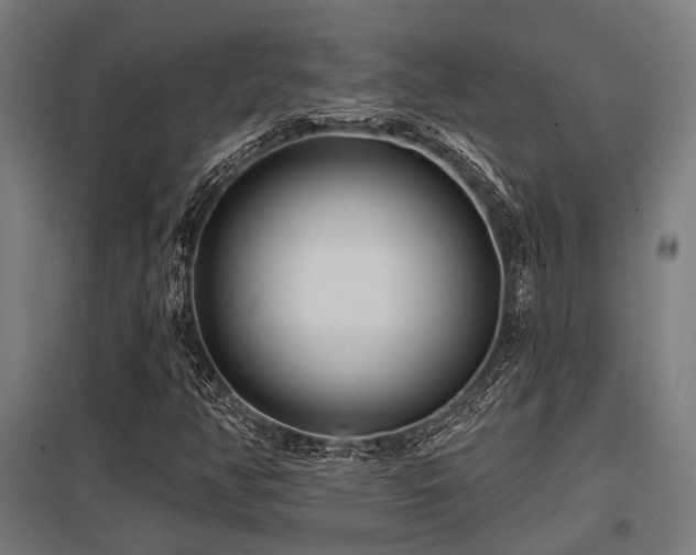 X0000098051350200803281445