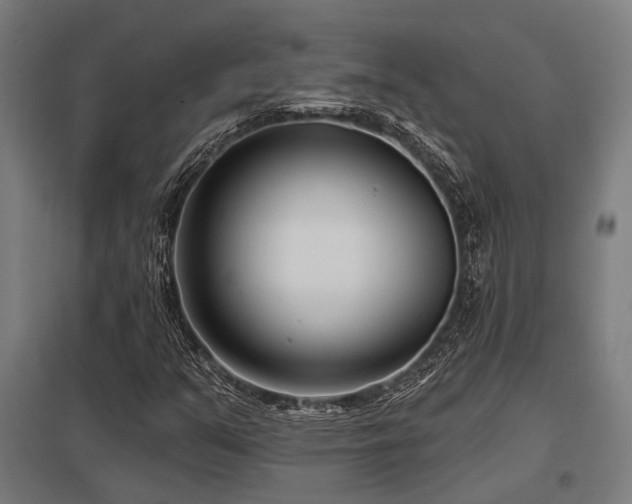X0000098051351200803281445