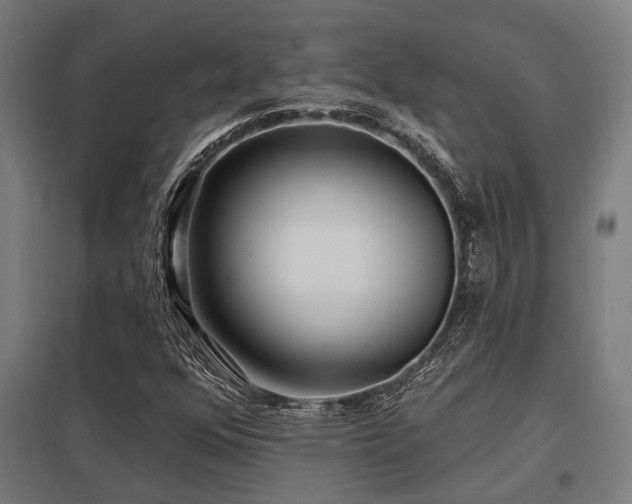 X0000098051352200803281445