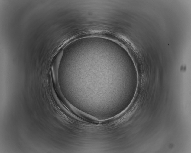 X0000098051353200803281445