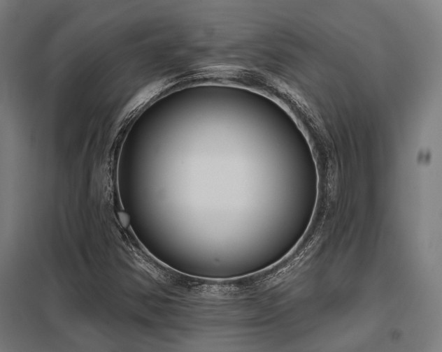 X0000098051354200803281445