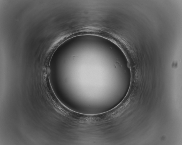 X0000098051355200803281444