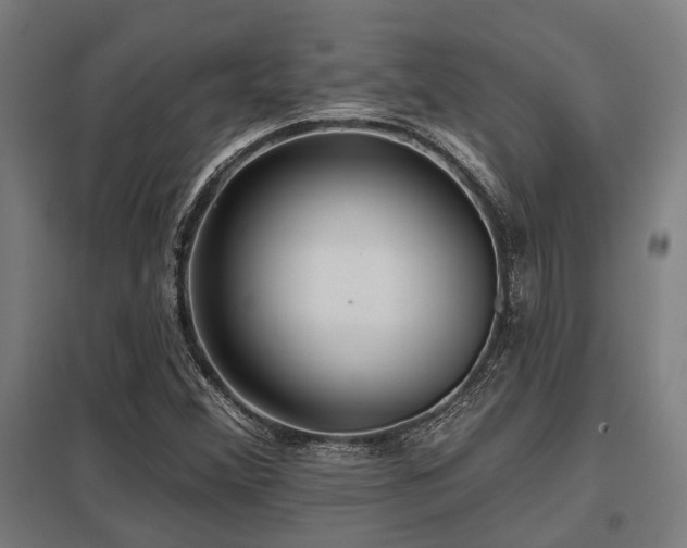 X0000098051356200803281444