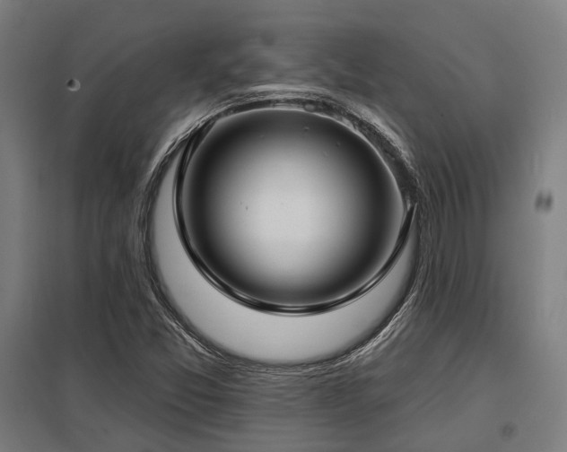 X0000098051357200803281444