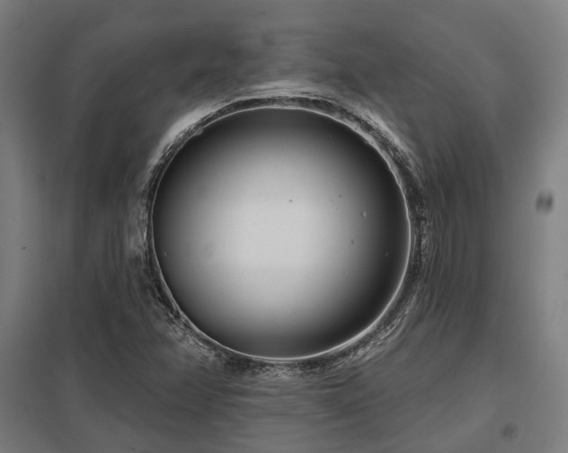 X0000098051358200803281444