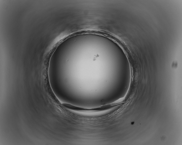 X0000098051359200803281444