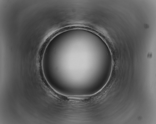 X0000098051360200803281444
