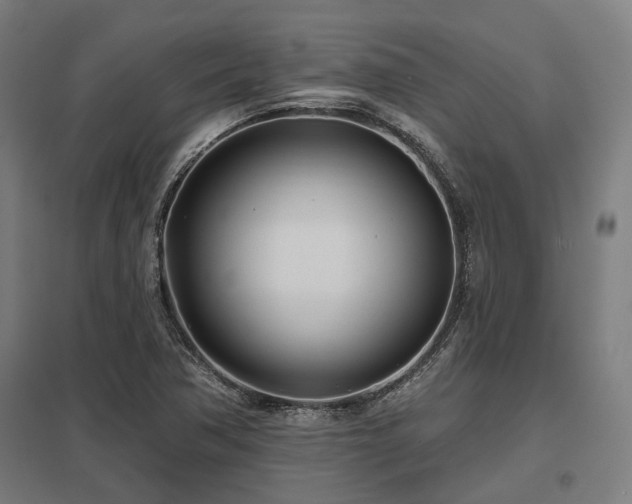 X0000098051362200803281444