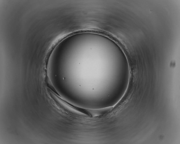 X0000098051363200803281444