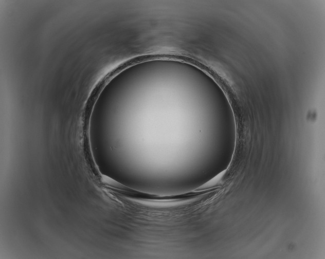 X0000098051364200803281444