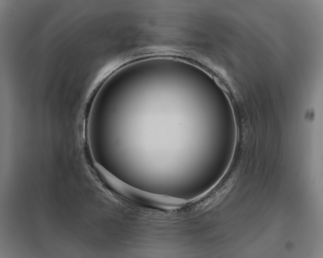 X0000098051365200803281444