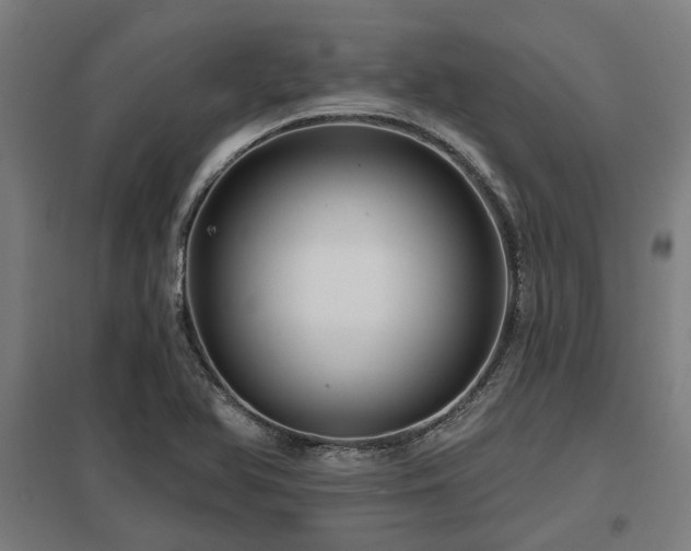 X0000098051366200803281444