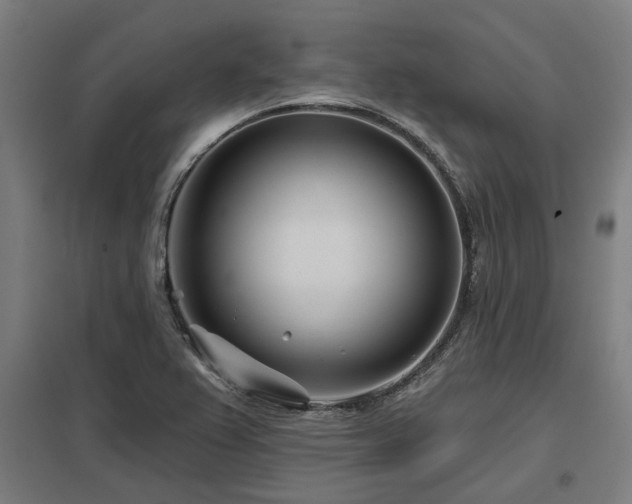 X0000098051367200803281444