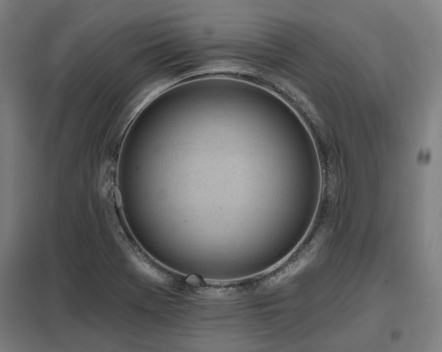 X0000098051369200803281444