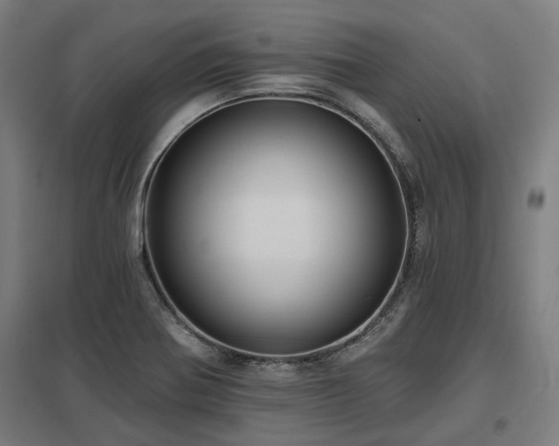 X0000098051370200803281444
