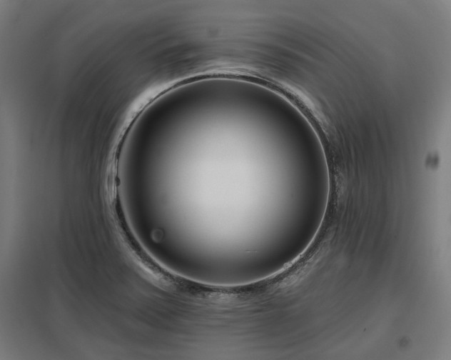 X0000098051371200803281444