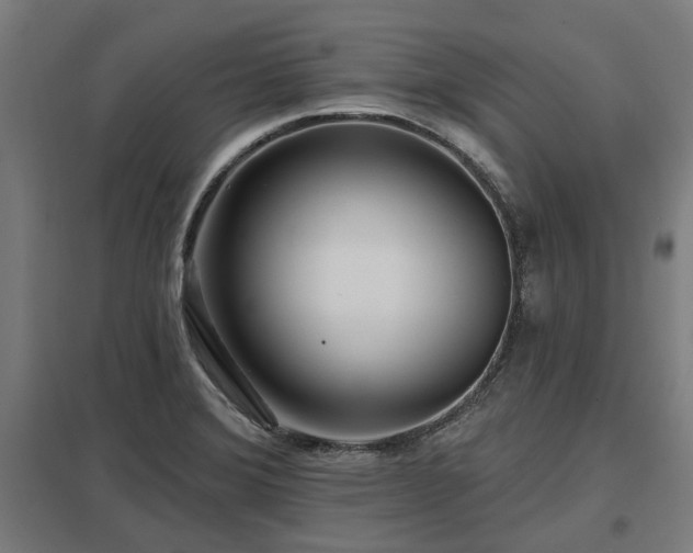 X0000098051372200803281444