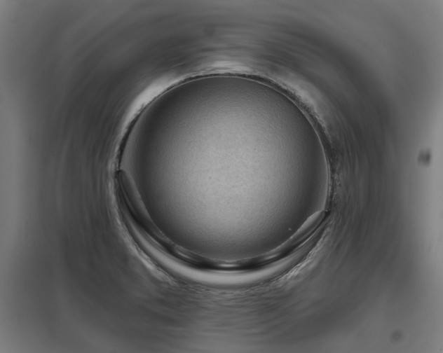 X0000098051373200803281444